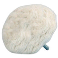 BIO-KLEEN POLISHING BALL